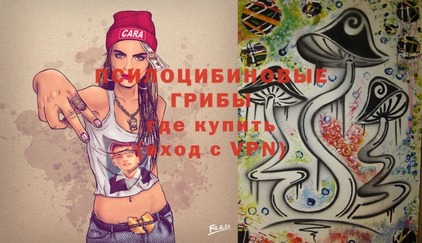 шишки Покровск