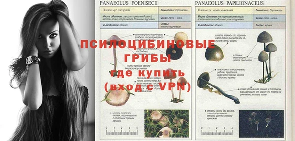 MDMA Premium VHQ Абаза