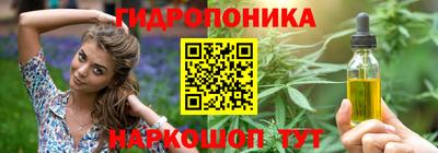 мяу мяу мука Кингисепп