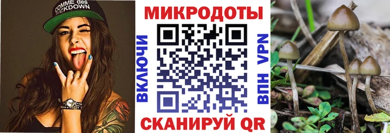 Галлюциногенные грибы MAGIC MUSHROOMS OMG tor Лабинск